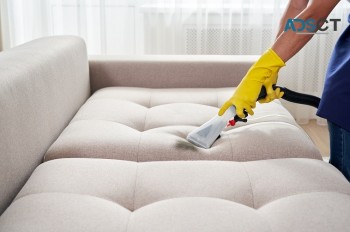 Back 2 New Upholstery Cleaning Brisbane