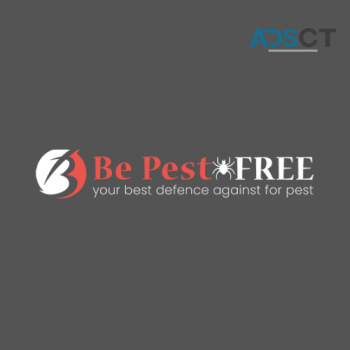 Be Pest Free Spider Control Adelaide
