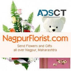 Send Rakhi to Nagpur for your loved ones and Get Same Day Delivery at a very Cheap Price