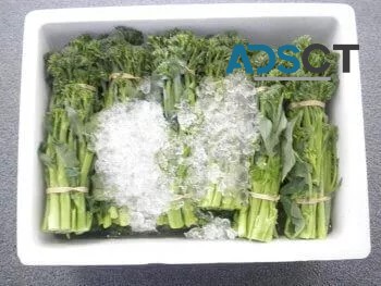 Buy durable & affordable broccolini box