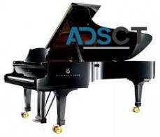 Piano Removals Perth