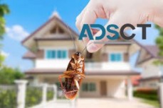 Commercial Pest Control Canberra