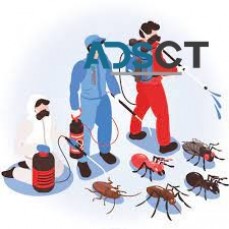Pest Inspection Perth