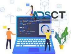 Important of software development