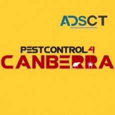 Pre-Purchase Timber Inspections Canberra