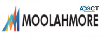 Financial Planning App or Software - MoolahMore