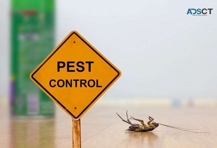 Pest Control Castle Hill