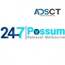 Possum Pest Control Melbourne