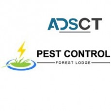 Pest Control Forest Lodge