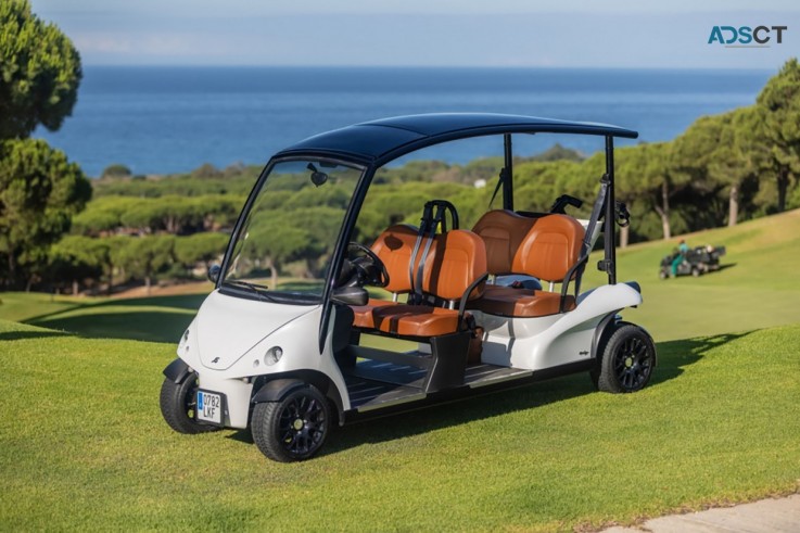 The Luxe 26 28 Mph Electric Power Golf H