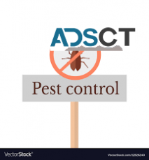 General Pest Control Adelaide