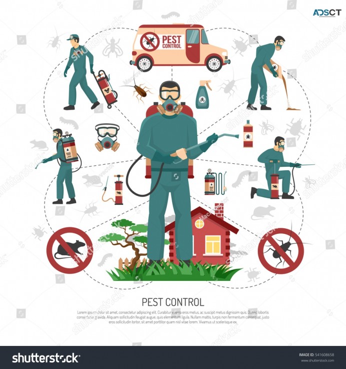 General Pest Control Adelaide