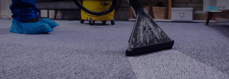 Great Carpet Cleaning Brisbane