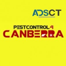 Spider Pest Control Canberra