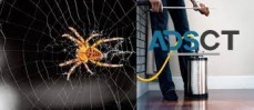 Spider Pest Control Canberra