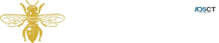 Broken Denture Repair | The Hive Dental Laboratory