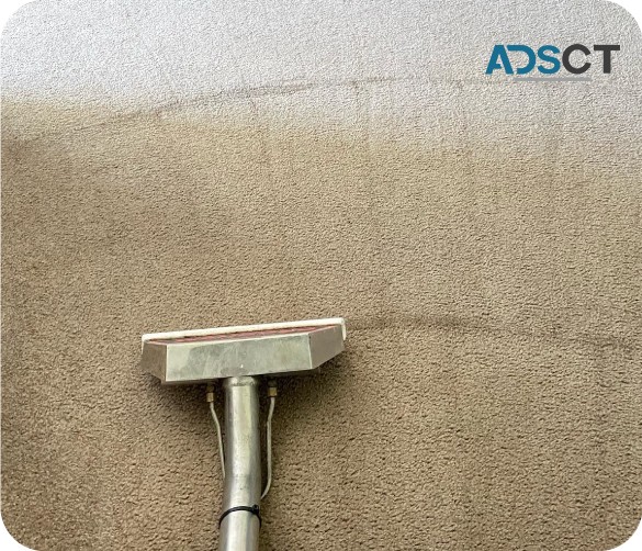 Top Carpet Cleaning Brisbane