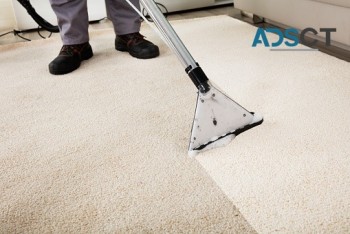City Carpet Cleaning Sydney