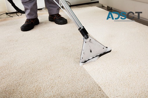 City Carpet Cleaning Sydney