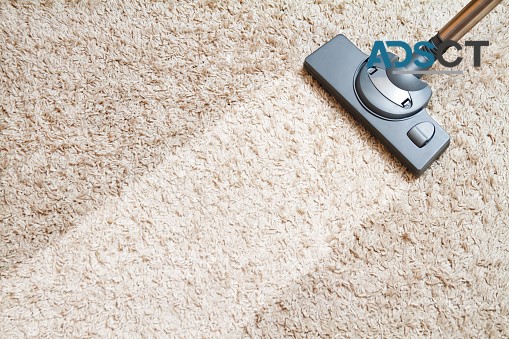 City Carpet Cleaning Sydney