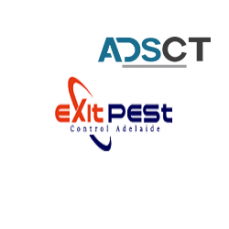 Exit Ant Control Adelaide