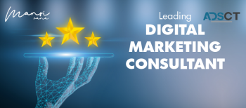 Hire Digital Marketing Consultant