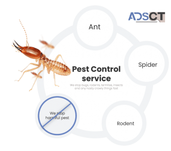 Exit Cockroach Control Adelaide