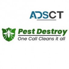 Pest Destroy Pest Control Adelaide