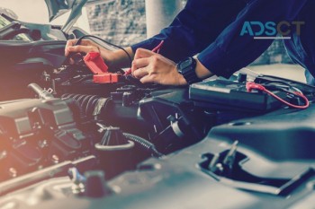 Diesel particulate cleaning specialist