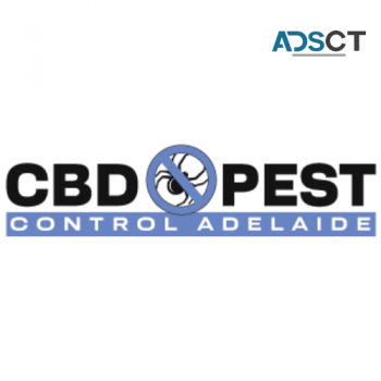 CBD Possum Removal Adelaide
