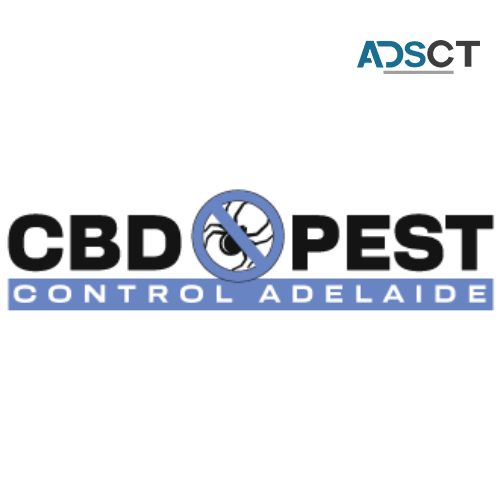 CBD Possum Removal Adelaide