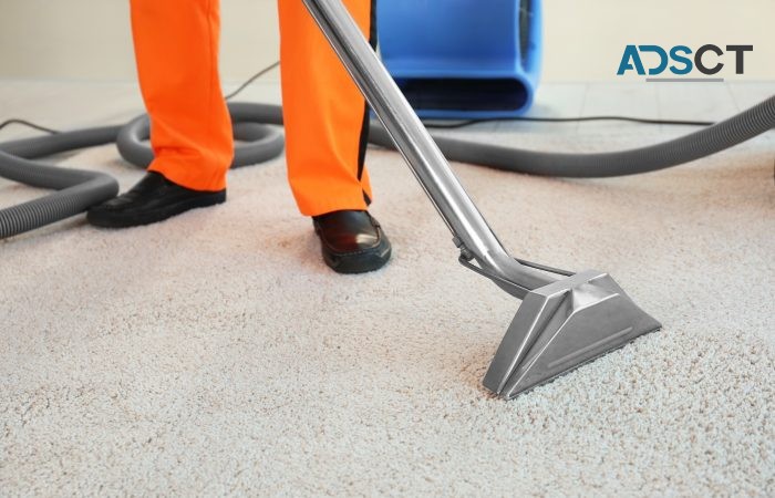 Carpet Cleaning Service in Cairnlea | Elite Carpet Care