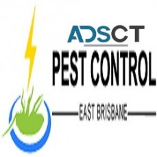 Ants Control East Brisbane