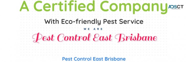Pest Control East Brisbane