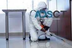 Pest Control Brisbane