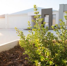 Waterwise Landscaping