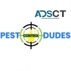 Dudes Cockroach Control Melbourne