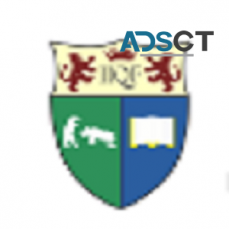 Best Online Financial Engineering Programs