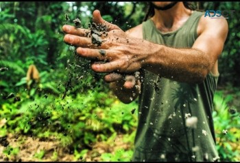 Fruit Picking and Farm Jobs in Tasmania with Left Field 