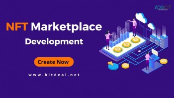NFT Marketplace Development Services For Various Business