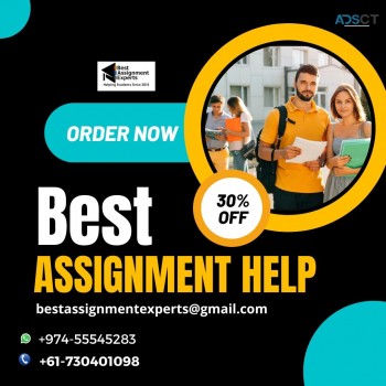  Online Assignment Experts 