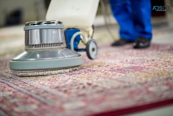 All Care Rug Cleaning Sydney