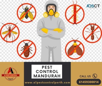 Trusted Pest Control In Mandurah With Best Services At A Fair Price