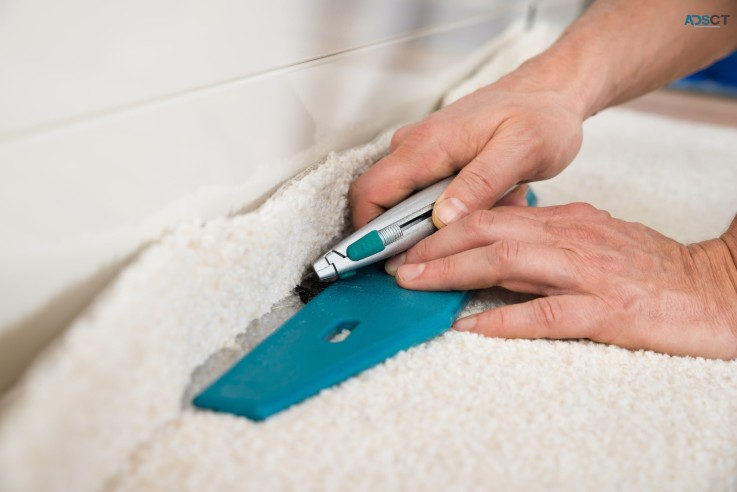 Choice Carpet Repair Canberra
