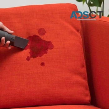 Couch Cleaning Perth