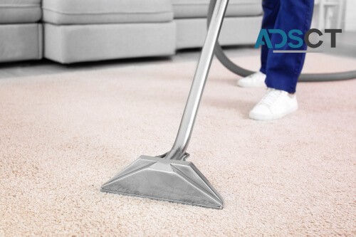 Steam Carpet Tile Grout Cleaning