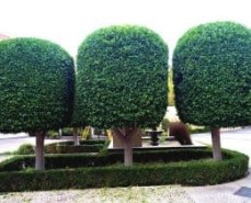 Bayside Gardening Service