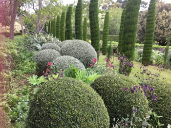 Horti Ladies Garden Design & Consultation