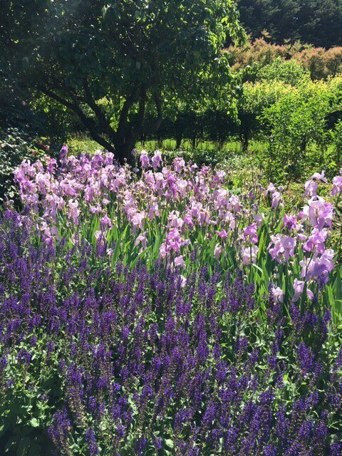 Horti Ladies Garden Design & Consultation