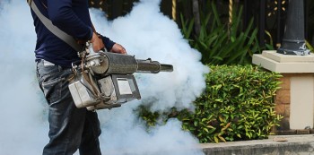Professional Pest Control Central Coast